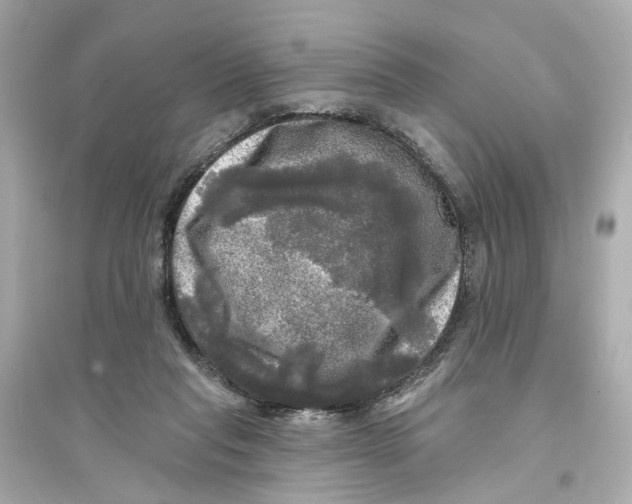 X0000093740261200711131108