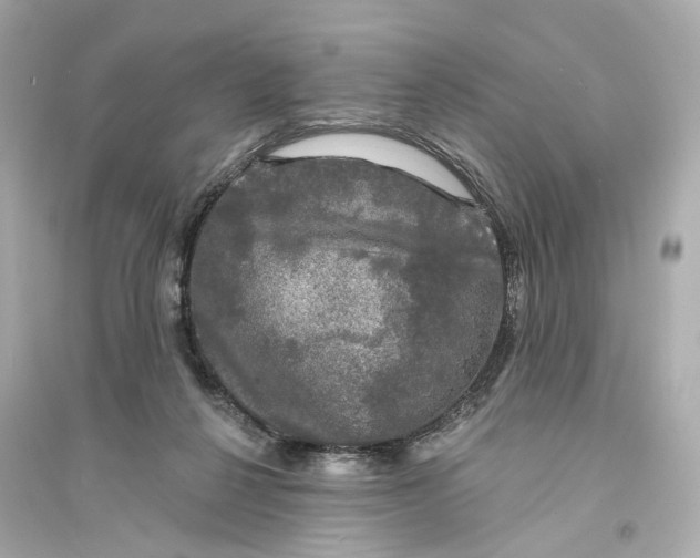 X0000093740264200711131108