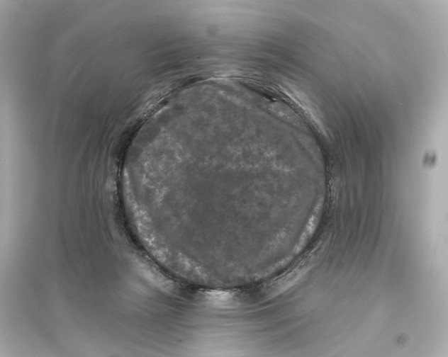 X0000093740265200711131108