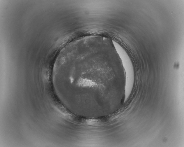X0000093740268200711131109