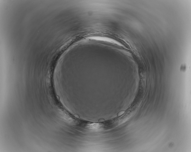 X0000093740269200711131109