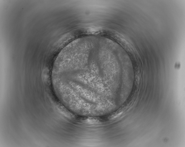 X0000093740270200711131109