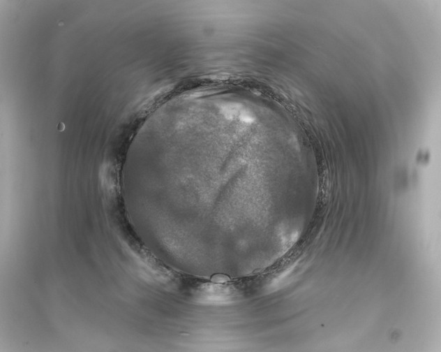 X0000093740272200711131109
