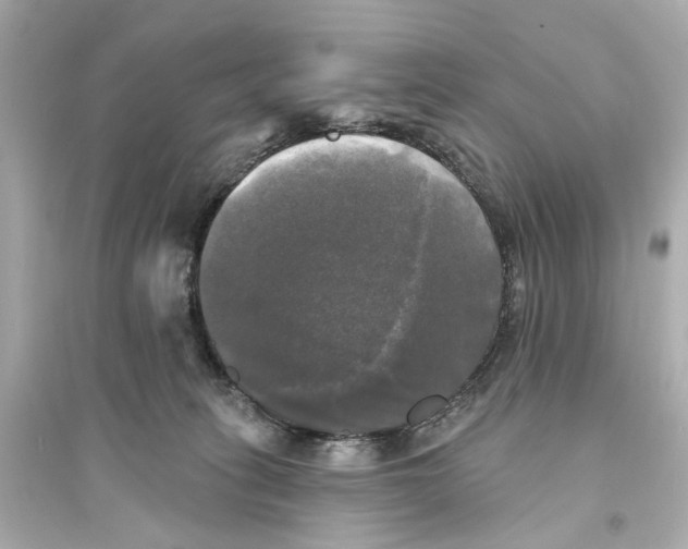 X0000093740275200711131109