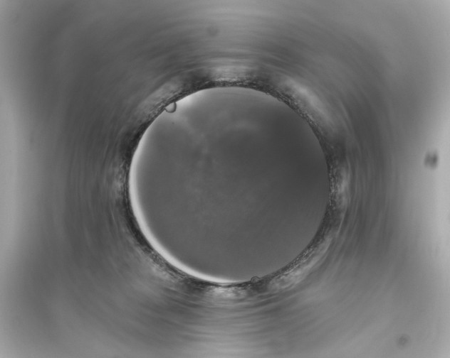 X0000093740277200711131109