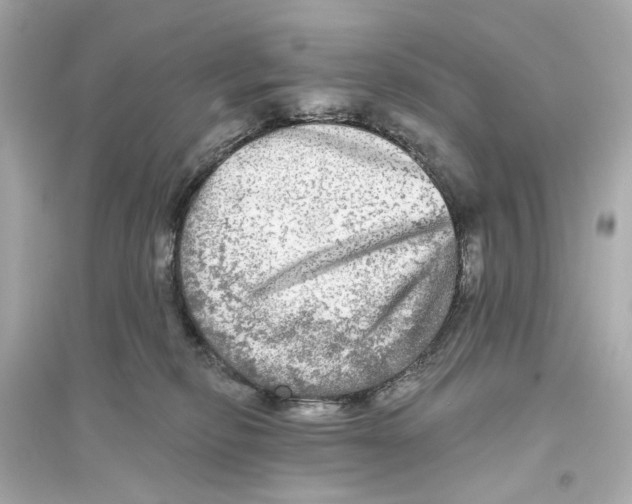 X0000093740278200711131109
