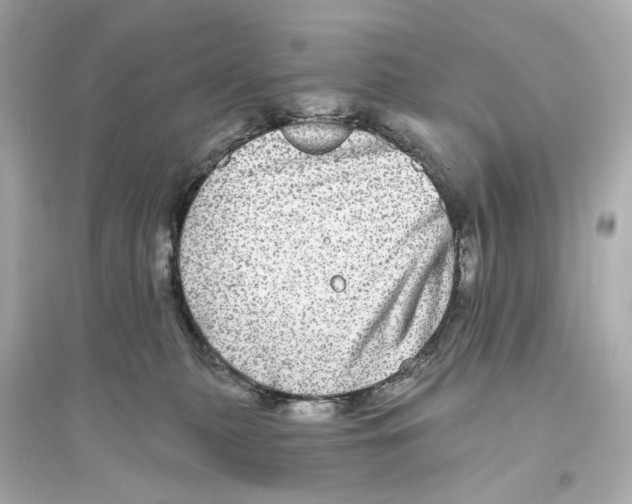 X0000093740279200711131109
