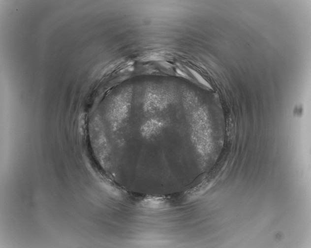X0000093740280200711131109