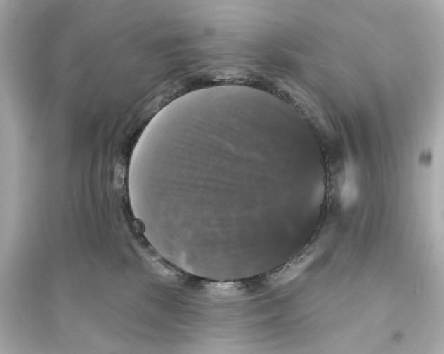 X0000093740281200711131109