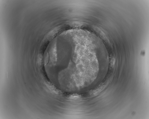 X0000093740283200711131109