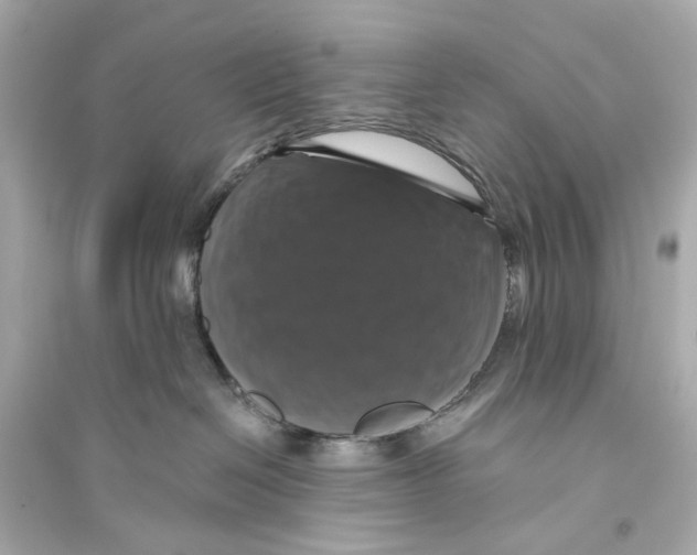 X0000093740286200711131109