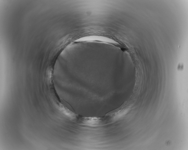 X0000093740288200711131109