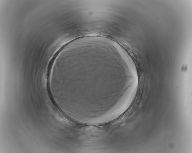 X0000093740290200711131108