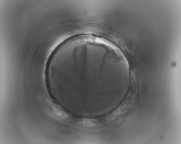 X0000093740292200711131108