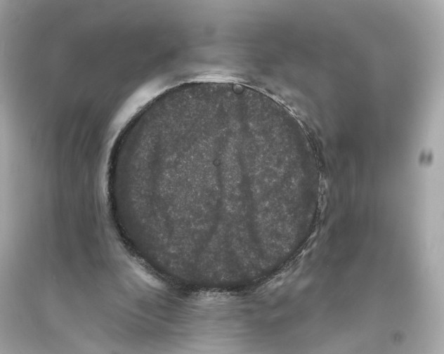 X0000093740296200711131108