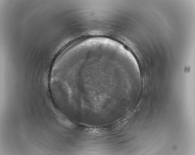 X0000093740297200711131108
