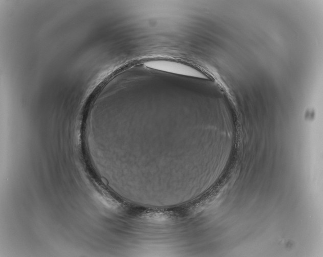 X0000093740299200711131108