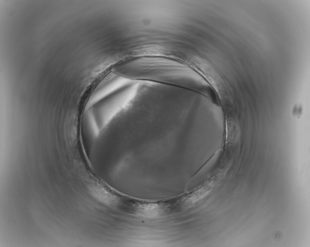 X0000093740301200711131108