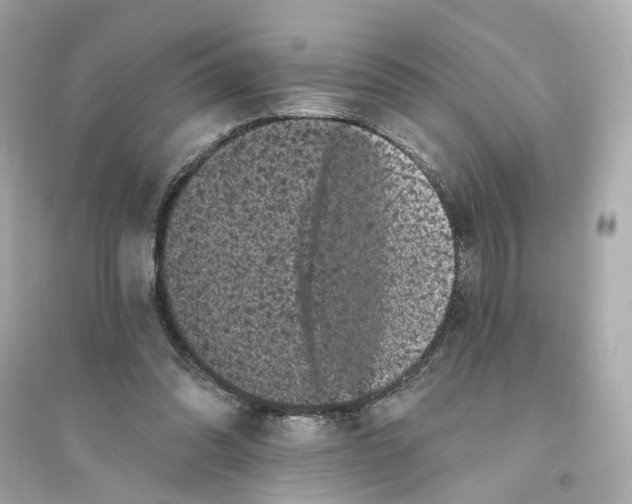 X0000093740302200711131108