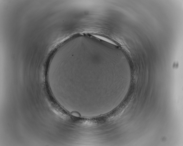 X0000093740303200711131108