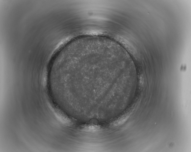 X0000093740304200711131108