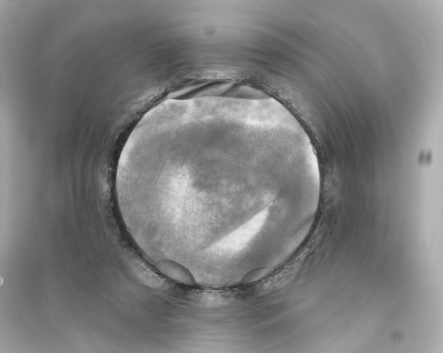 X0000093740305200711131108