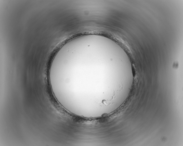 X0000093740306200711131108