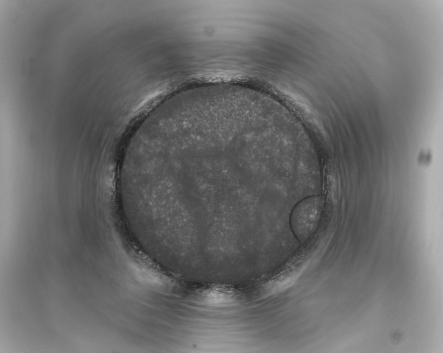 X0000093740308200711131108