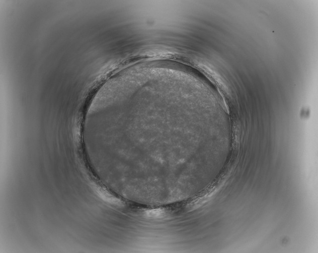 X0000093740309200711131108