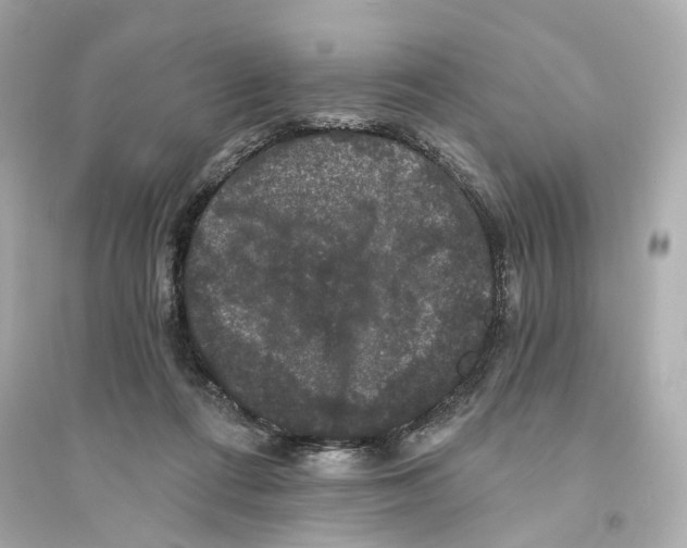 X0000093740312200711131108