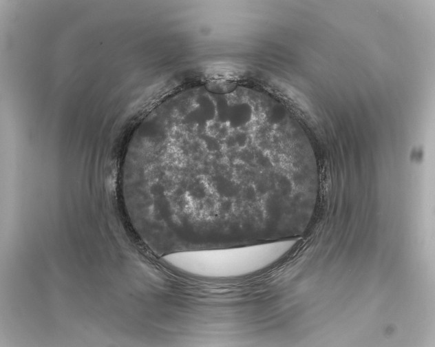 X0000093740315200711131108