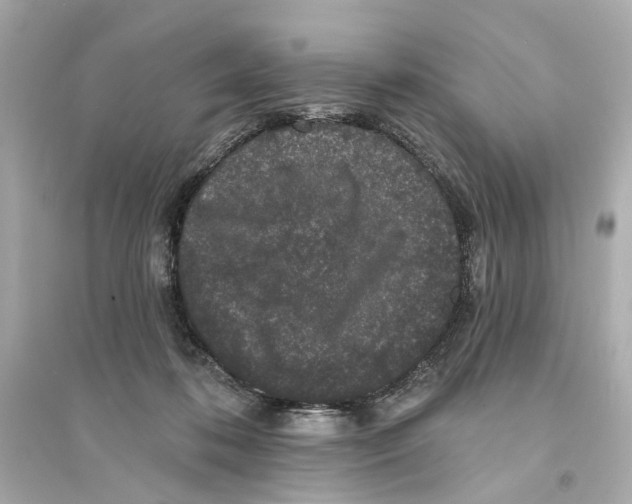 X0000093740316200711131108