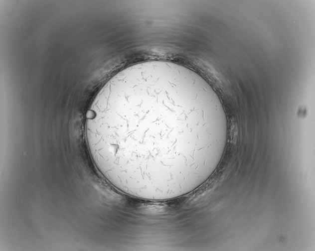 X0000093740318200711131108