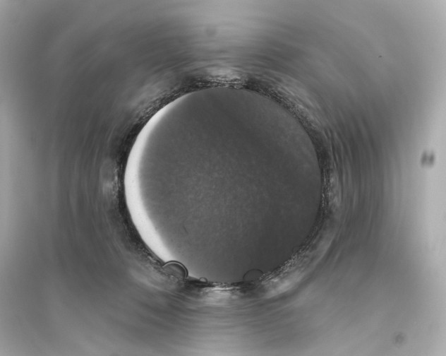 X0000093740320200711131108