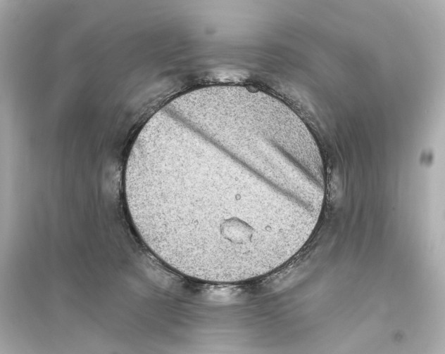 X0000093740321200711131108