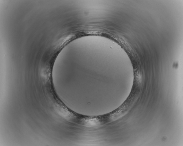 X0000093740322200711131108