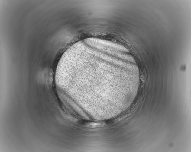 X0000093740323200711131108
