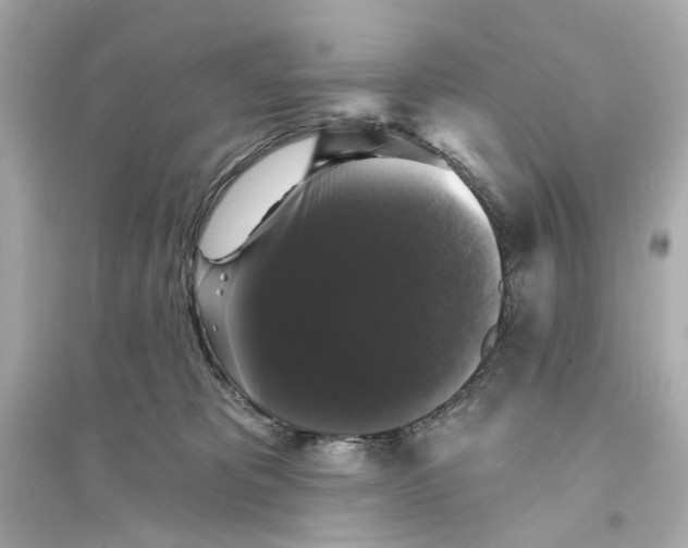 X0000093740325200711131108