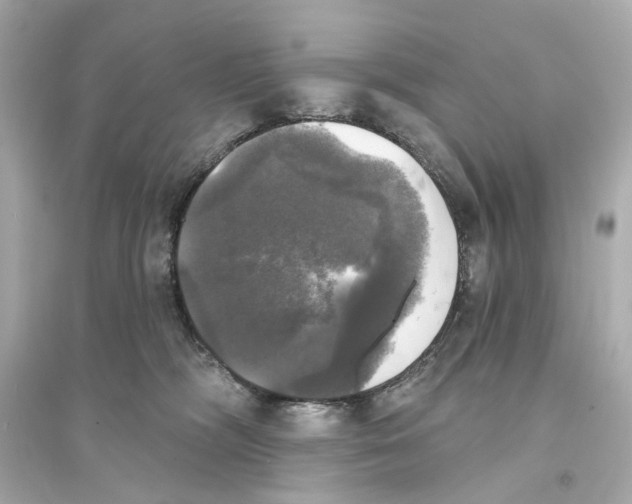 X0000093740326200711131108