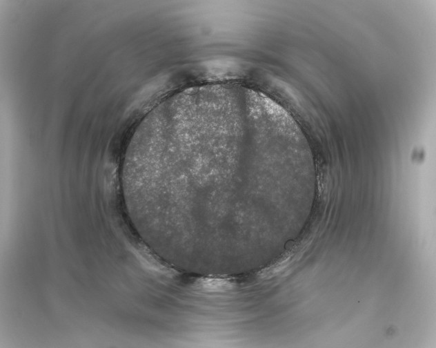 X0000093740327200711131108