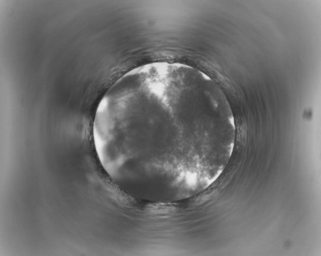 X0000093740331200711131108