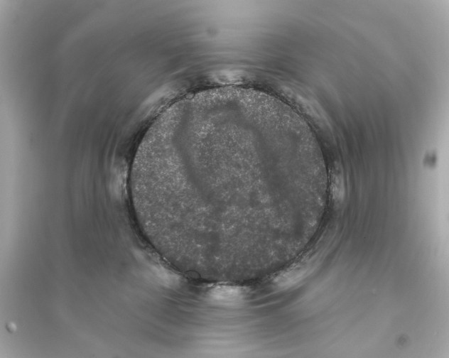 X0000093740332200711131108