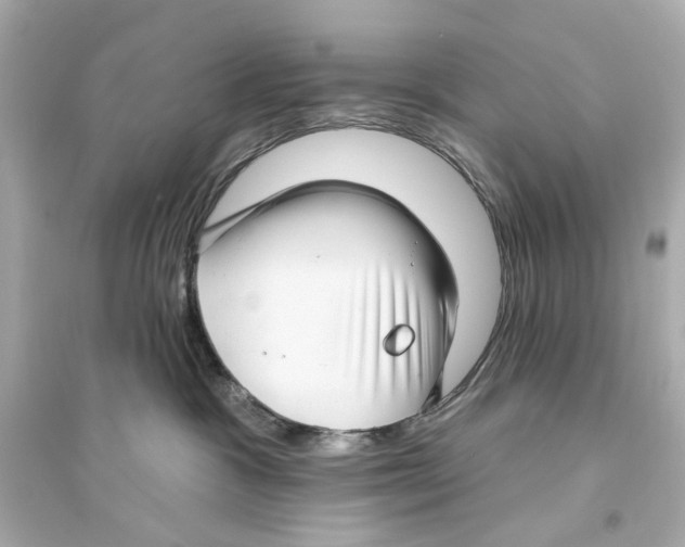 X0000093740333200711131108
