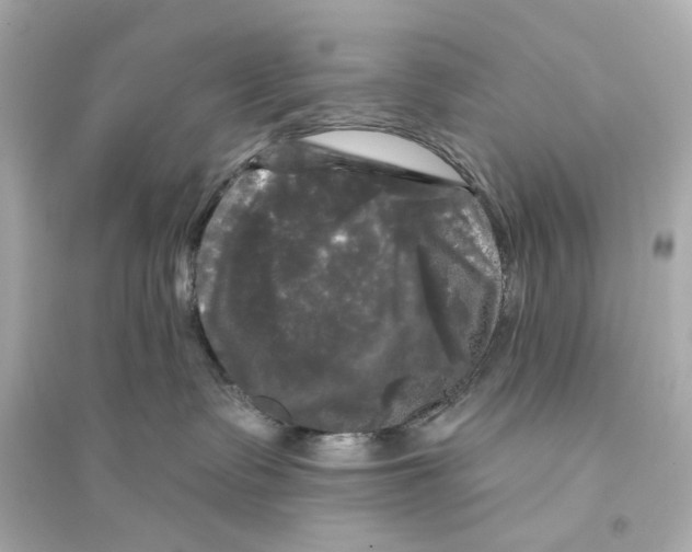 X0000093740335200711131107