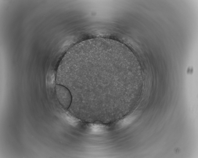 X0000093740336200711131107