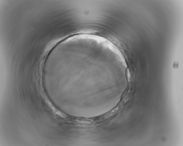 X0000093740337200711131107
