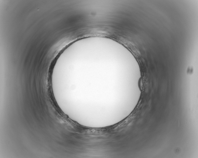 X0000093740338200711131107