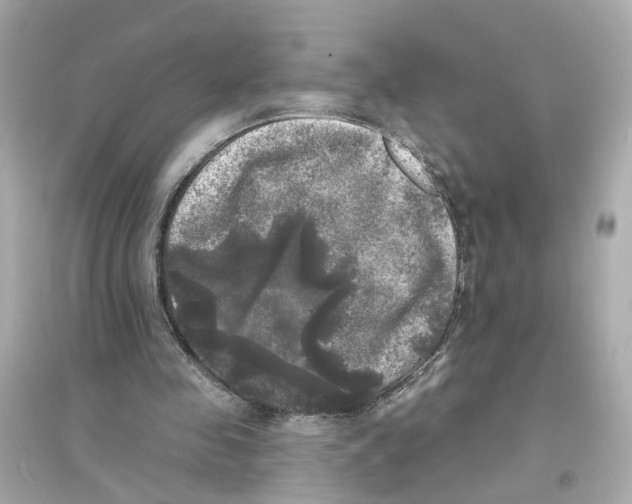 X0000093740341200711131107
