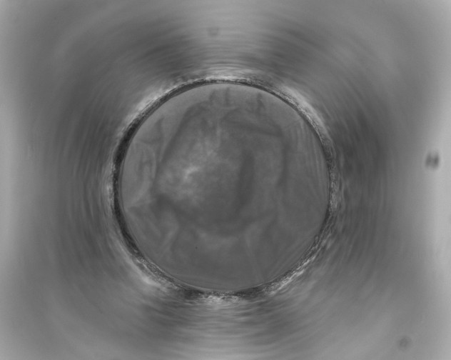 X0000093740346200711131107