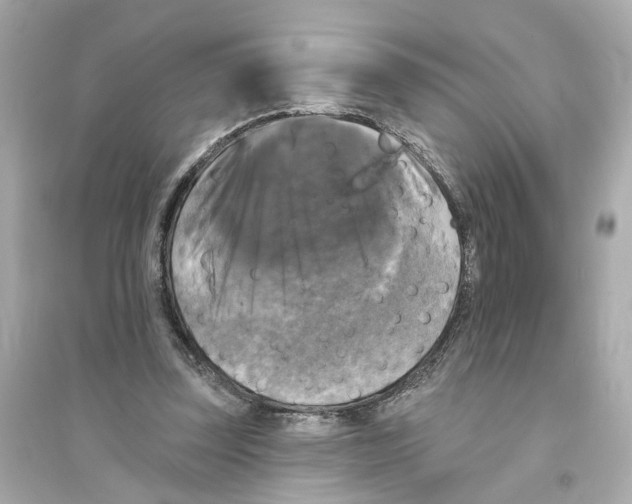 X0000093740347200711131107